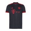 Conjunto (Camiseta+Pantalón Corto) Bayern de Múnich Tercera Equipación 2022-23 - Niño